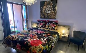Mallo'S Lodge Avec Parking Gratuit Et 2 Balcons
